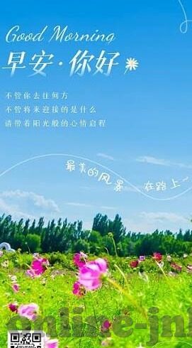 西布朗足球比分-西布朗足球比分，绿茵场上的风云变幻与球迷的激情守望